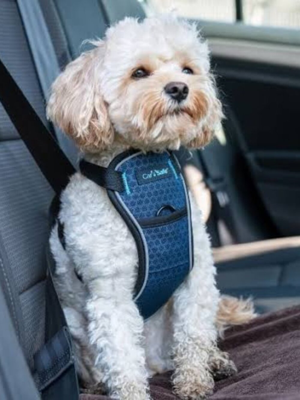 NWOT CarSafe Crash Tested Back Clip Dog Harness, Blue, X-Small